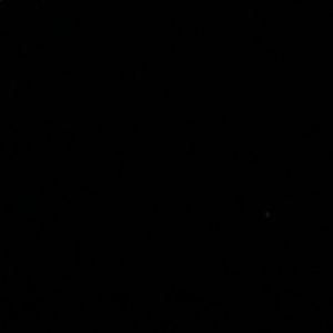 Meet your Posher, Wesley